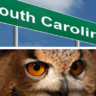 owls that you can keep as pets in south Carolina