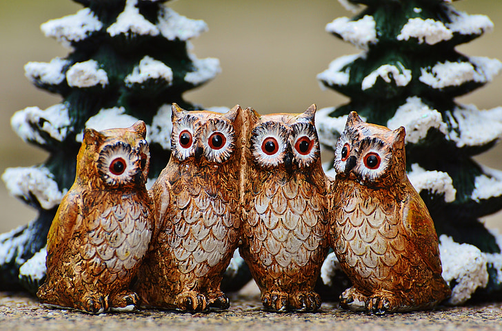 Four owl figurines standing together in front of snow-covered miniature pine trees
