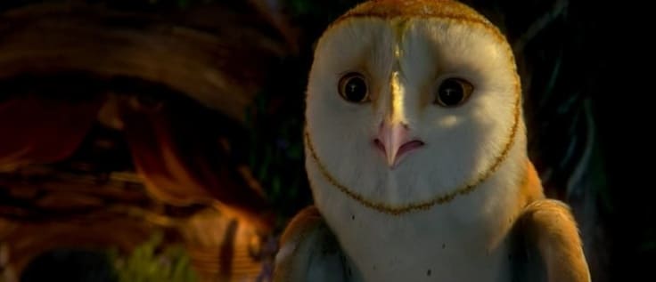 Soren the barn owl from Legend of the Guardians looking alert in forest scene