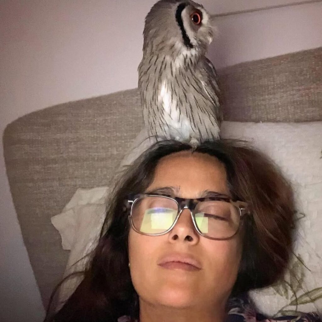 Salma Hayek resting with a barn owl perched on her head at home