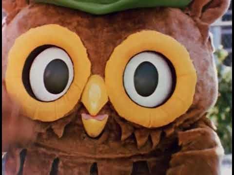Woodsy Owl mascot with big eyes promoting environmental awareness